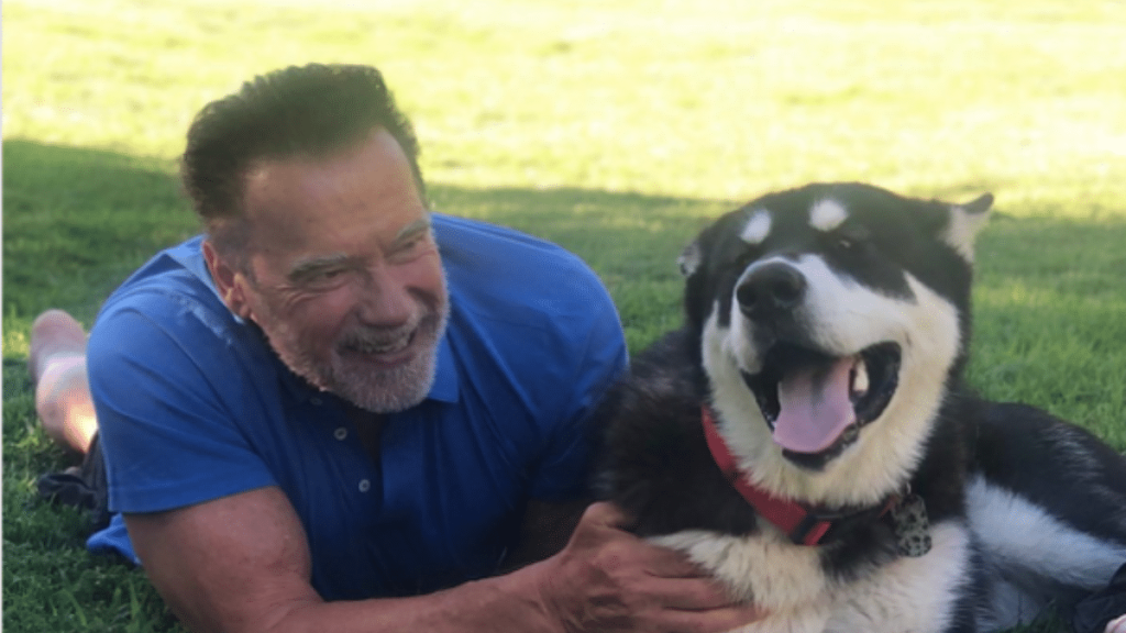 Arnold Schwarzenegger's Dog Dutch
