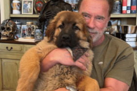 Arnold Schwarzenegger's Dog Schnitzel