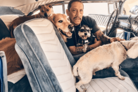 Danny Trejo's Dog John Wesley Hardin