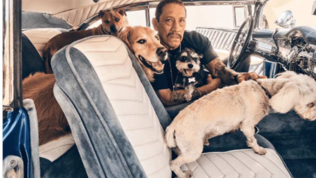 Danny Trejo's Dog John Wesley Hardin