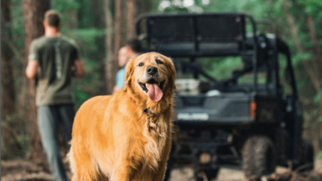 Carson Wentz's Dog Henley