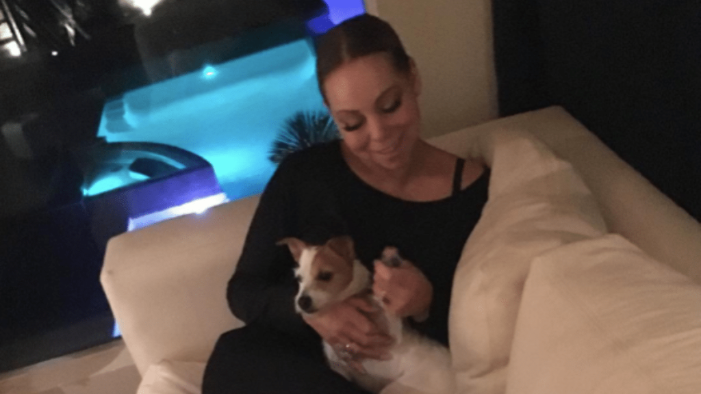 Mariah Carey's Dog Jill E. Beans