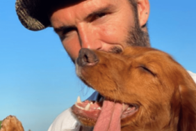 David and Victoria Beckham's Dog