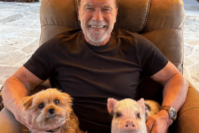 Arnold Schwarzenegger's Dog