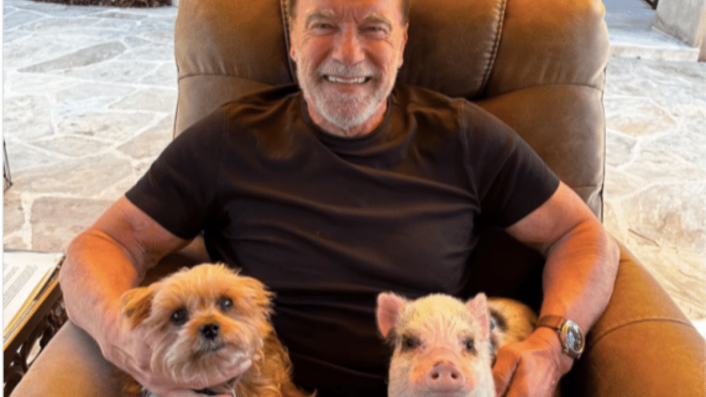 Arnold Schwarzenegger's Dog