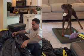Video of dog reacting to owner in trash bag.
