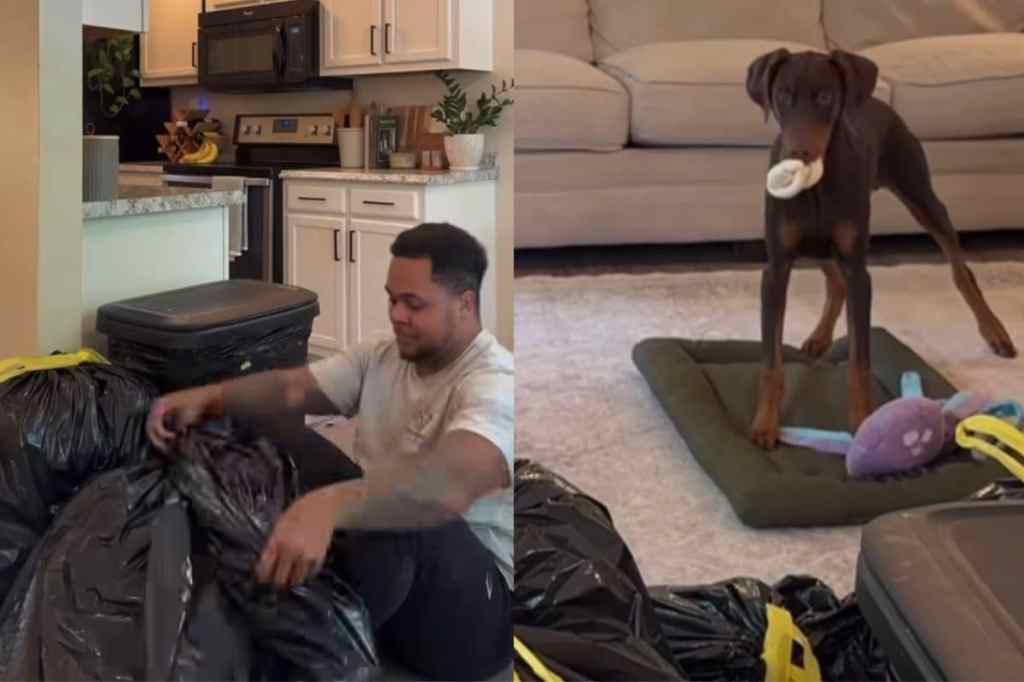 Video of dog reacting to owner in trash bag.