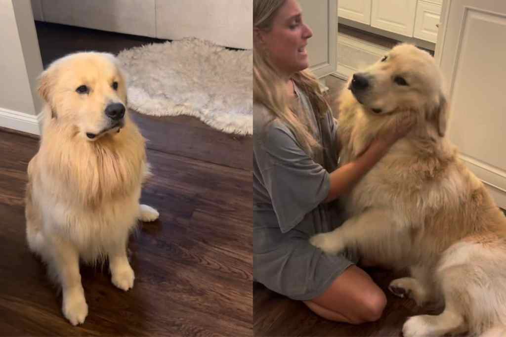 Owner’s bestie is dog’s “girlfriend”