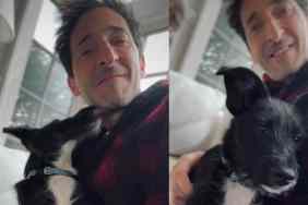 Video: Adrien Brody Adopts Dog That No One Wanted