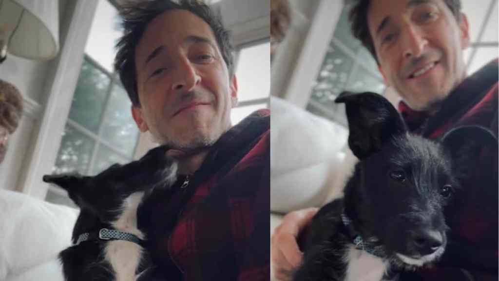 Video: Adrien Brody Adopts Dog That No One Wanted