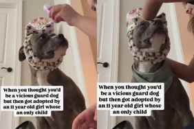 Adopted dog enjoying spa day.