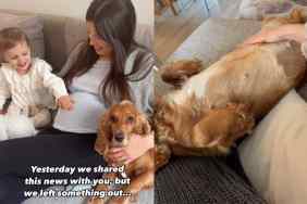 Video of human and dog’s pregnancy announcement.