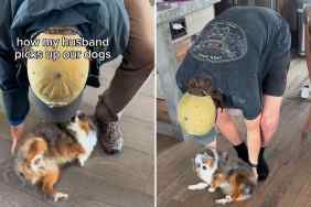 dog dad potato scoop