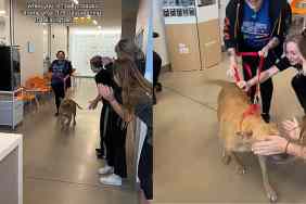 Video: 'Longest Resident' Shelter Dog Gets Loving Farewell Post Adoption