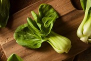 A photograph of raw organic bok choy on a wood cutting board. This leafy green vegetable bok choy is safe for dogs to eat.