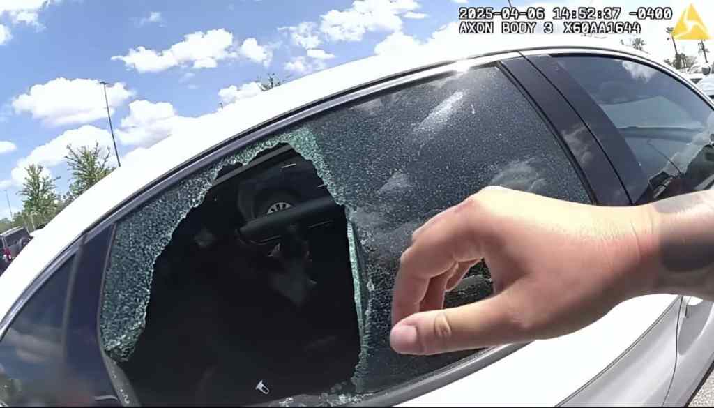 Video of dog’s rescue.