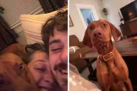 dog cuddle video