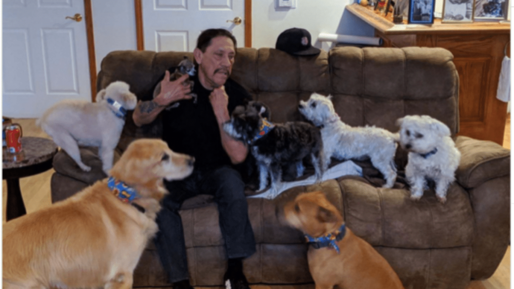 Danny Trejo's Dog Penny Lane