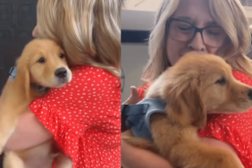 puppy meets grandma video