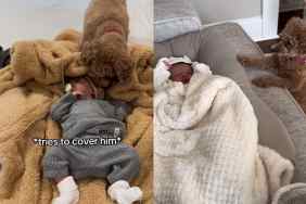 dog baby video