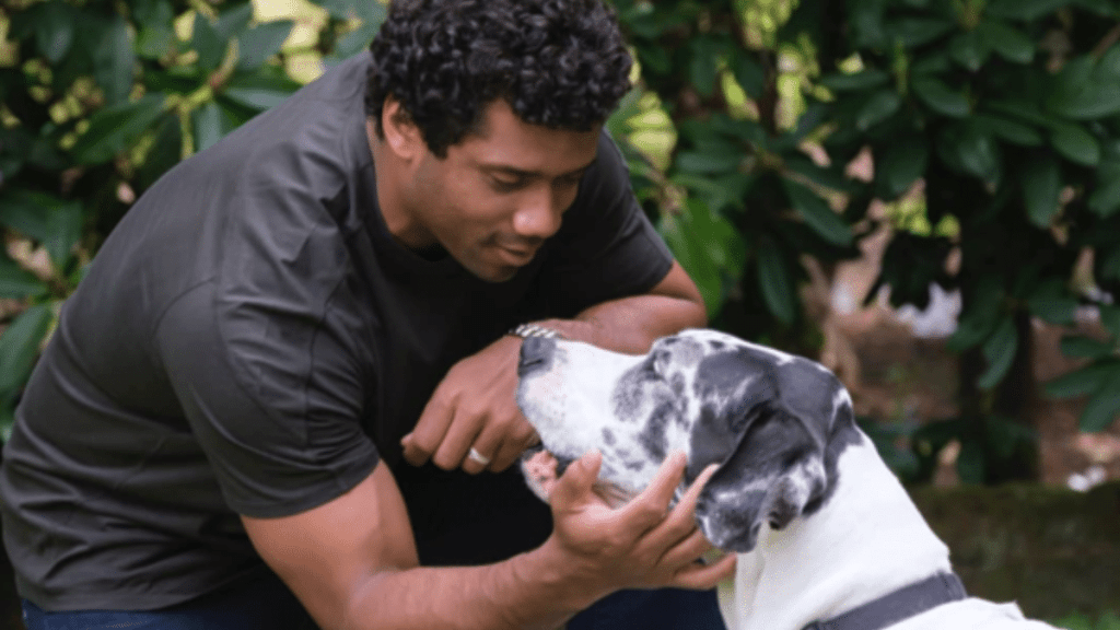 Russell & Ciara Wilson's Dog Naomi
