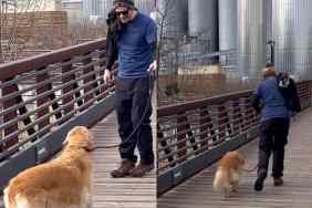 dog fear of bridge