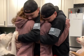 dog hug video