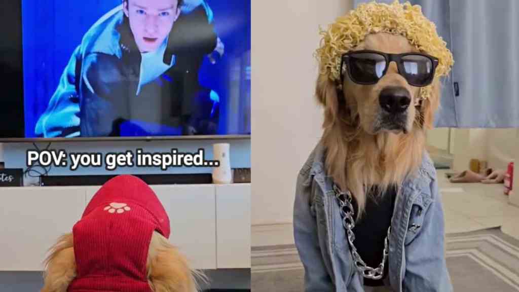 dog Justin Timberlake video