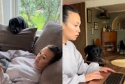 dog mom video