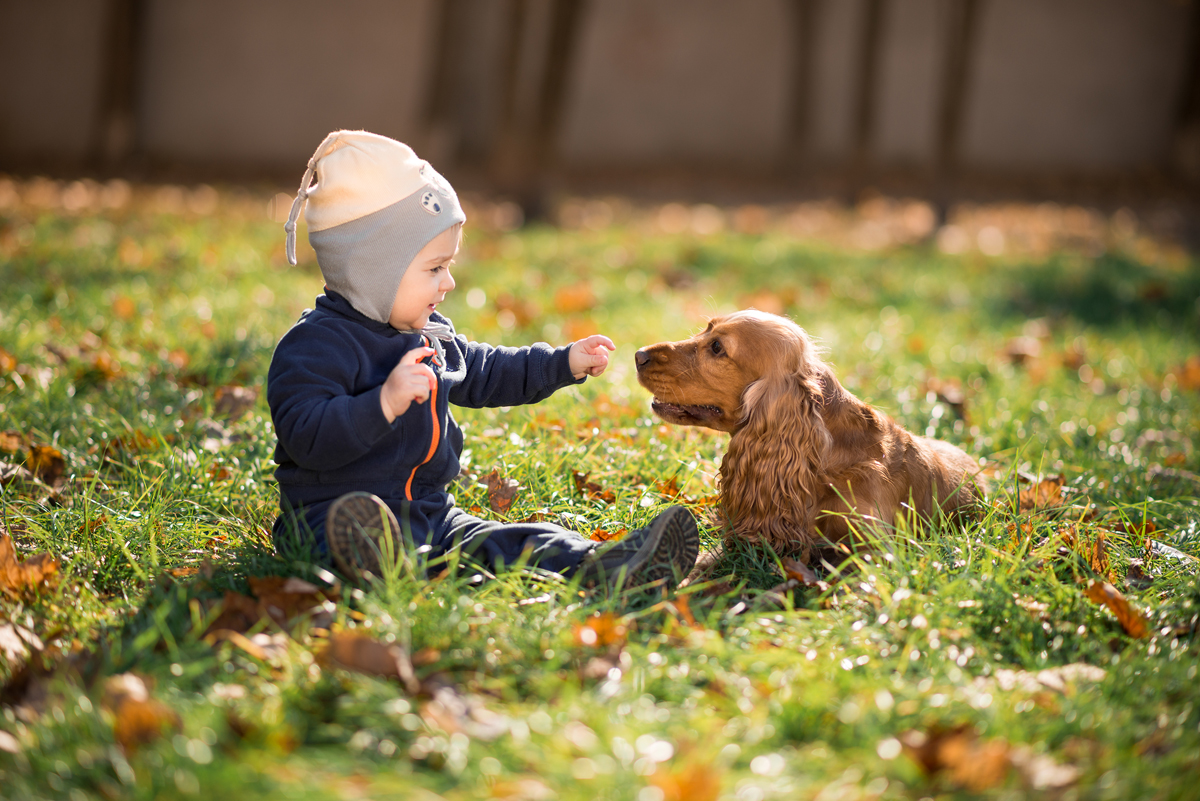 Kids & Dogs