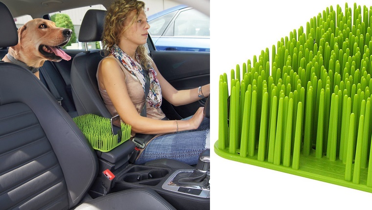 Grass Dog Blocker For The Car