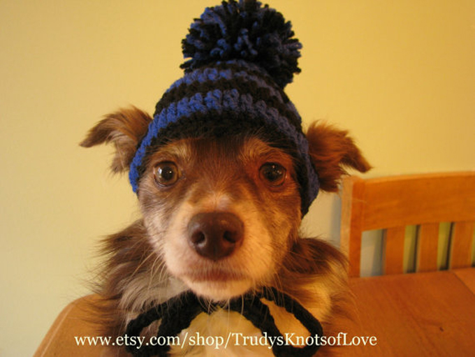 Small Dog Crochet Beanie