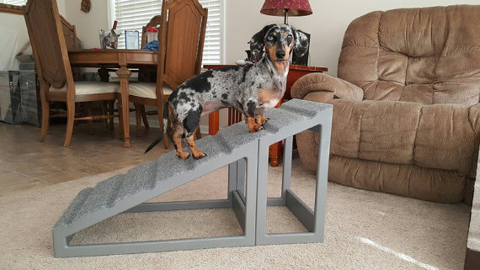 Dog Ramp