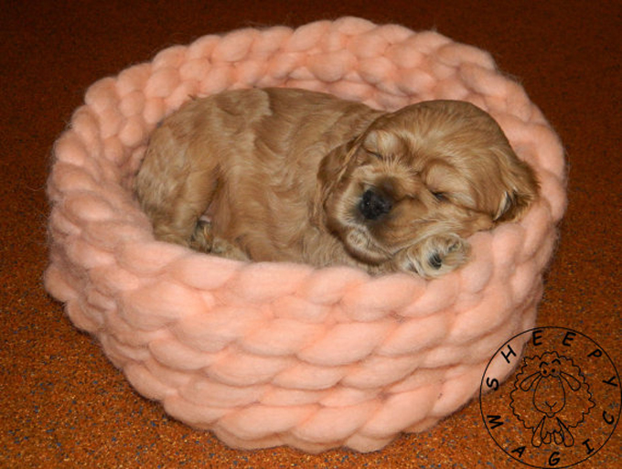 Chunky Dog Bed