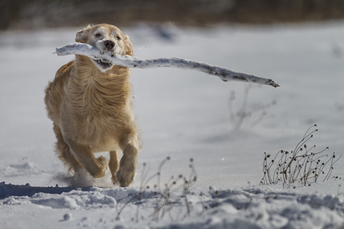 Fun in the snow!