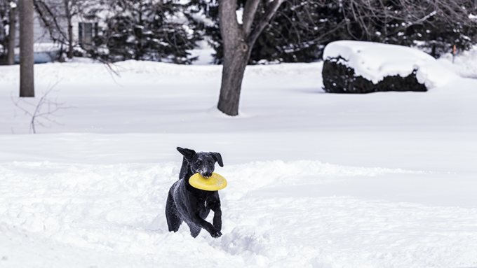 Fun in the snow!