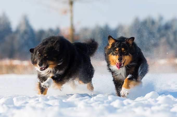 Fun in the snow!