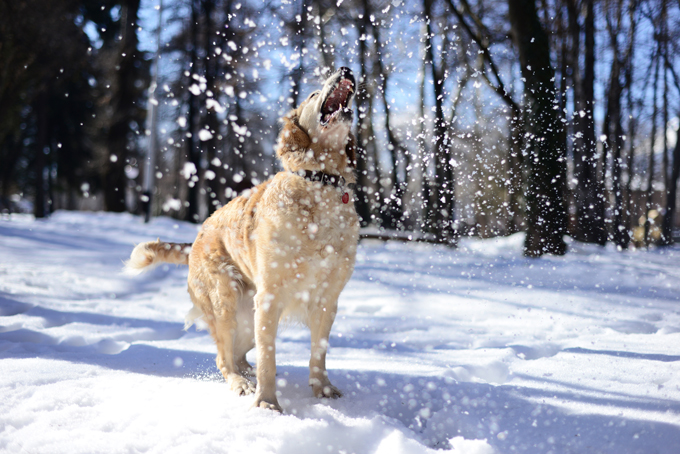 Fun in the snow!