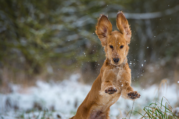 Fun in the snow!