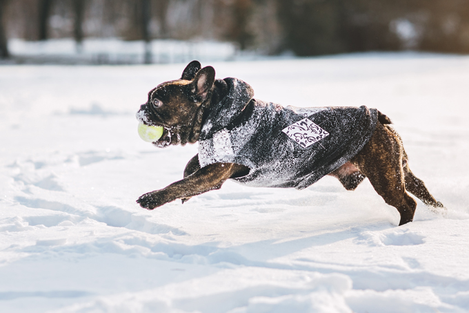 Fun in the snow!