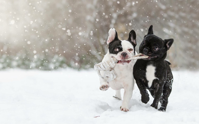 Fun in the snow!