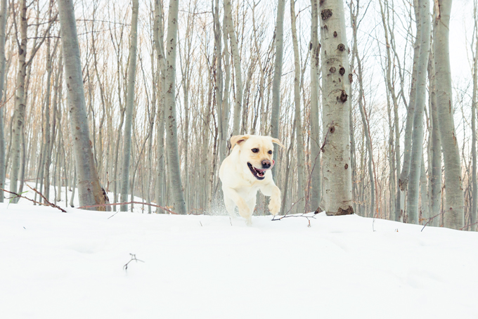 Fun in the snow!