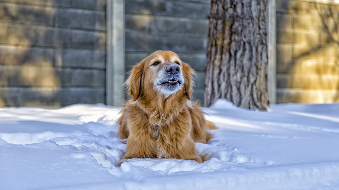 Fun in the snow!