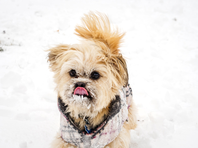 Fun in the snow!