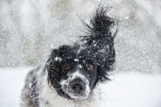 Fun in the snow!