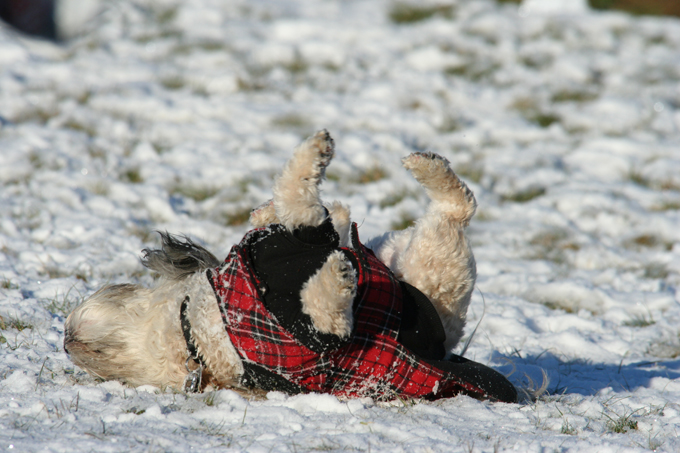 Fun in the snow!