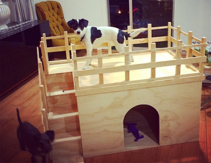 Most Amazing Dog Houses