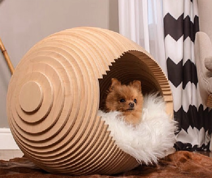 Most Amazing Dog Houses