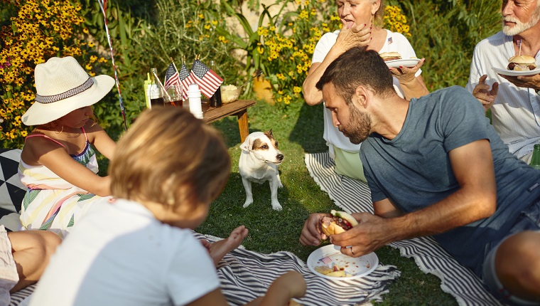 Keep An Eye On Your Dog During Parties