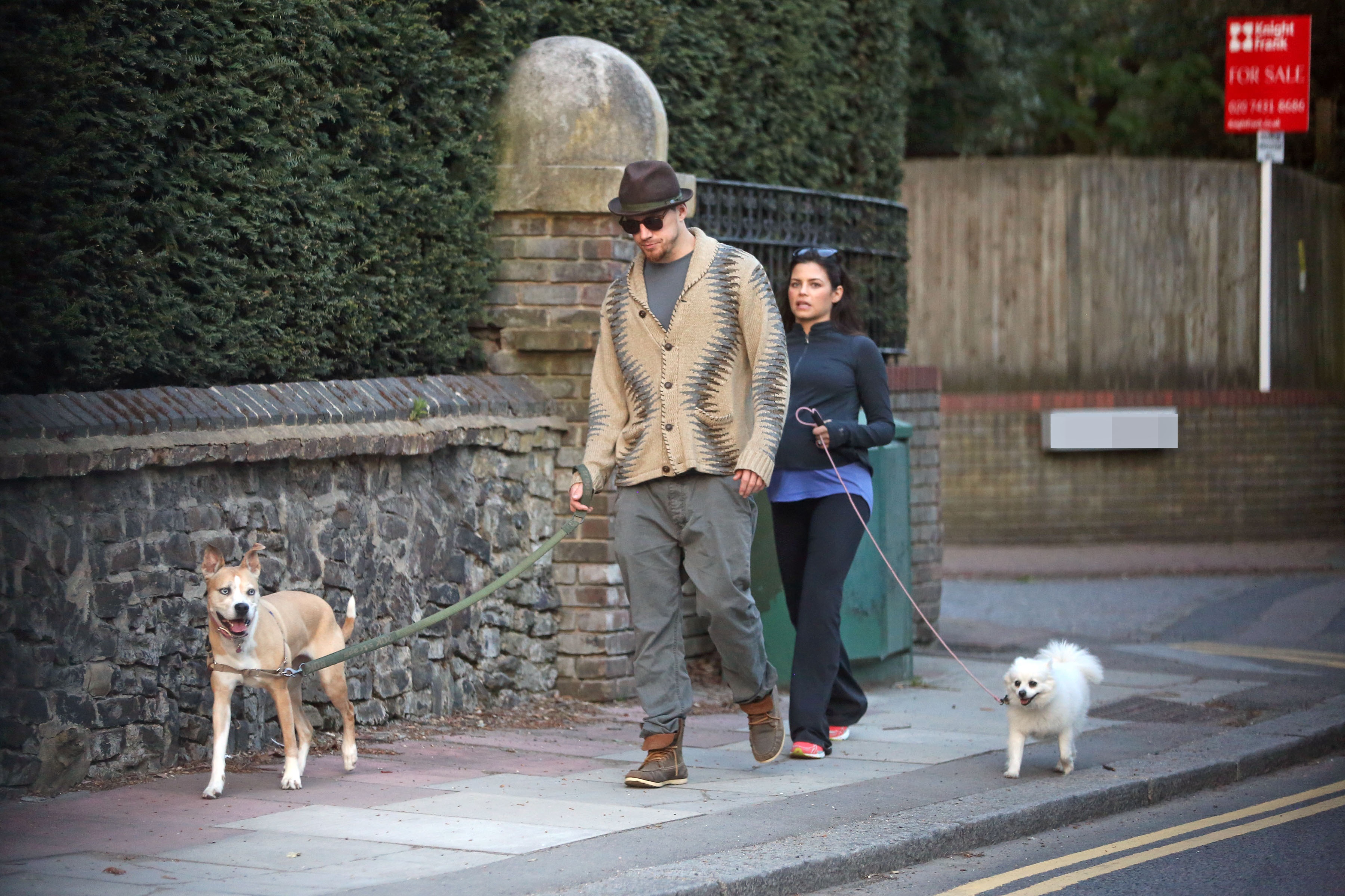 Channing Tatum And His Pups, Lulu And Meeka